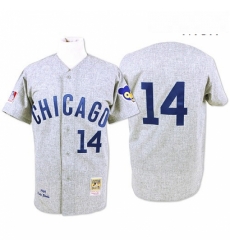 Mens Mitchell and Ness Chicago Cubs 14 Ernie Banks Replica Grey Throwback MLB Jersey