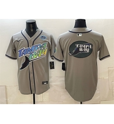 Men Tampa Bay Rays Team Big Logo Gray 2026 AL East Champions Patch Vapor Limited Stitched Baseball Jersey Men Tampa Bay Rays Team Big Logo Gray 2026 AL East Champions Patch Vapor Limited Stitched Baseball Jersey