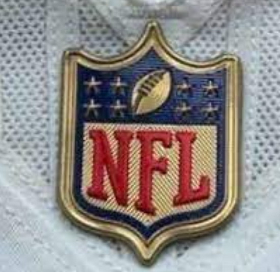 Youth New Orleans Saints Gold NFL Logo Patch Biaog